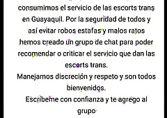 Chat de clientes de Scorts transexuales Guayaquil